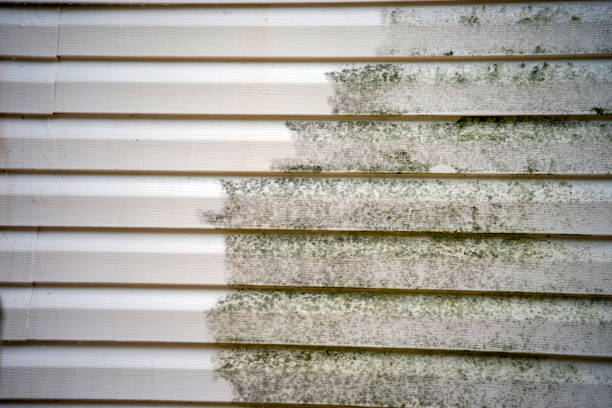 Best Siding Painting and Refinishing  in Steele Creek, AK