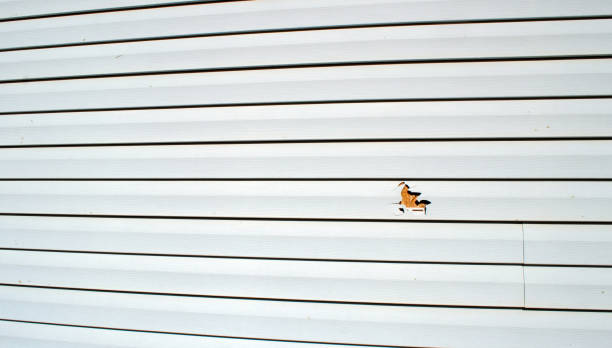 Best Fiber Cement Siding Installation  in Steele Creek, AK
