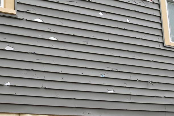 Best Siding for New Construction  in Steele Creek, AK