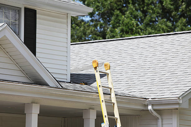 Best Residential Vinyl Siding Installation  in Steele Creek, AK