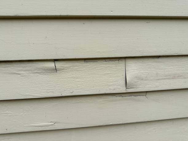 Storm Damage Siding Repair in Steele Creek, AK